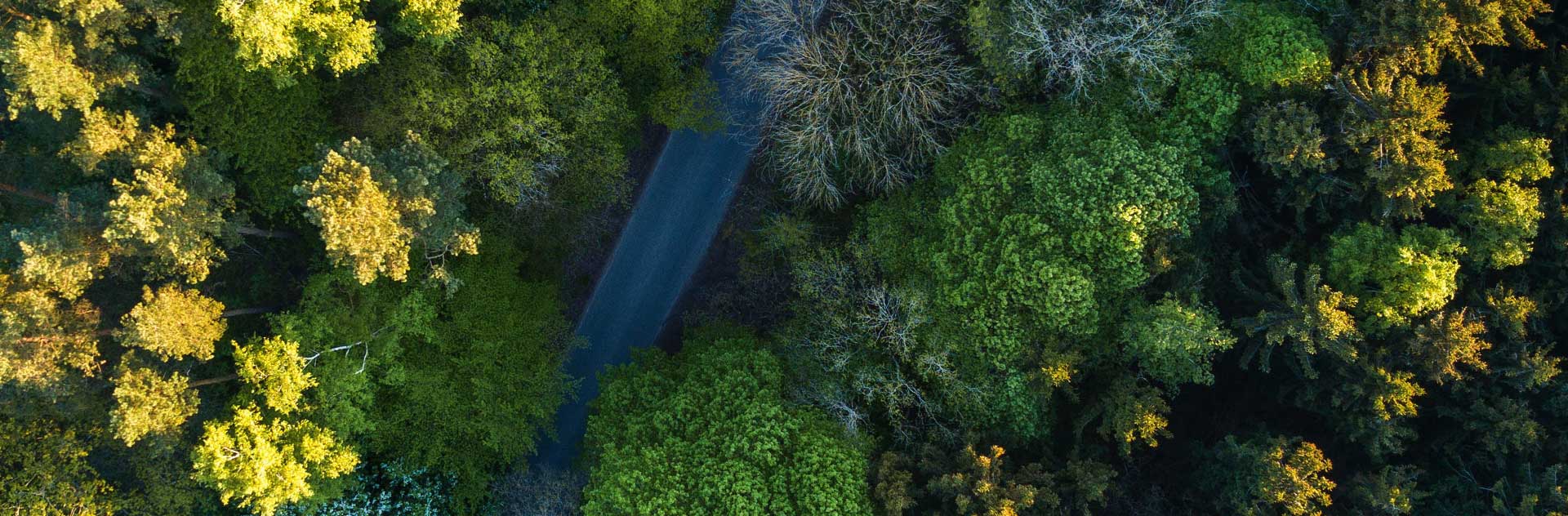 40001百老汇·(电子游戏)集团公司